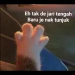 Eh tak de jari tengah
Baru je nak tunjuk