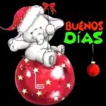 NAVIDAD 