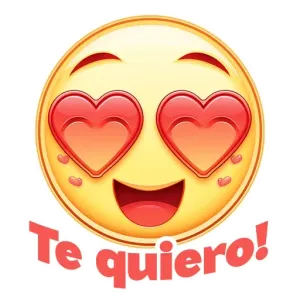 xvvcdss
