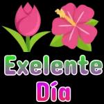 Feliz Día de la Mujer 2