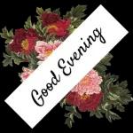 Good afternoon