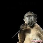 sampai hati kau
ร
1