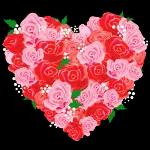 Herzlich grüße❤️