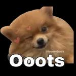perrito