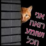 הורדה חינם, עדכונים יומיים, אין צורך בכניסה