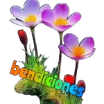 Bom dia Sábado!