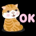 懶貓家族12 小太陽和家人-甜蜜草莓篇