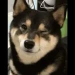 look says many words👀