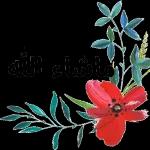 وعليكم السلام ورحمت الله وبركاته