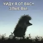 🤩🤷‍♂️🤷‍♂️🤷‍♂️