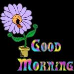 best wish for you