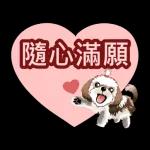 西施迪迪 (日常生活及問候篇)