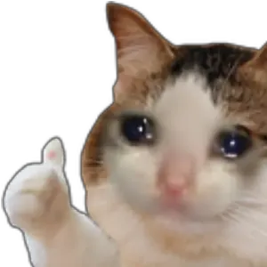 NXPpNo