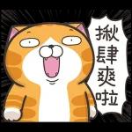 白爛貓11☆超級萌☆