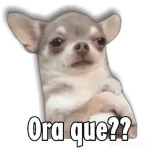 HLQjXV