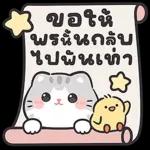 แมวมาร์คัส V.3 : HNY