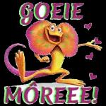 GOEIE
MÔREEE!