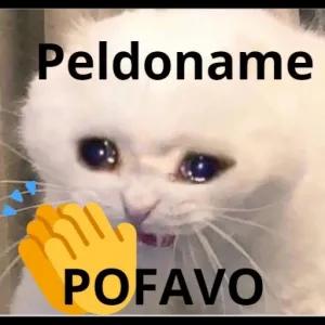Peldoname POFAVO - getsticker.com