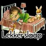 lekker slaap
