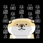 SHIBANBAN微笑柴犬-寶寶逃避現實