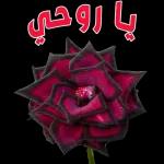 احبك ياروحي