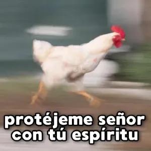 dhid08o