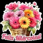  MIÉRCOLES 