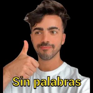 Sin palabras - getsticker.com