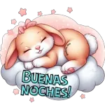Buenas Noches...