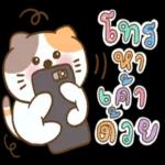 คลิกเข้าดู...