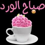 صباح الخير