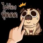 สวัส
Gl
ครบ