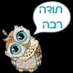 יכול ? אני יכול