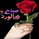 أهنئكم بقدوم الشهر الفضيل