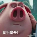 哪吒風火輪飛天豬