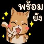 การวิ่งตามไม่สู้ทำให้ “ตัวเองมีคุณค่า”