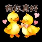 黃毛鴨