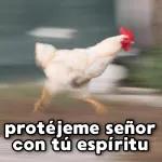 gatitos