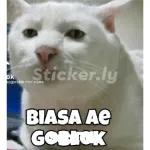 meme