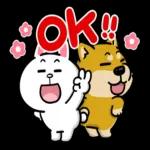 豆卡頻道xBROWN & FRIENDS 1