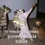 JAJAJA