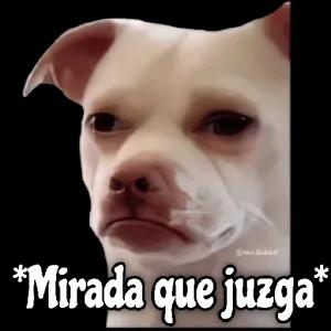 NVcqxg