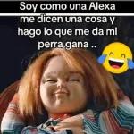 ¿QUIERES UNA COQUITA?