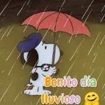 ¡QUE TENGAS UN BONITO DÍA!