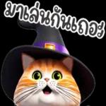 สุขสันต์วันฮาโลวีน