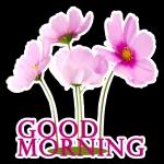 have a nice day