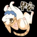 畫說日常：實用系貓咪貼圖