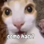 kisieras