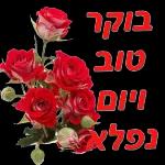 הורדה חינם, עדכונים יומיים, אין צורך בכניסה