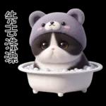 ฅ^•ﻌ•^ฅ╭♡軟綿綿熊熊貓雙手贊成